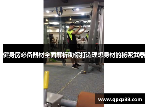 健身房必备器材全面解析助你打造理想身材的秘密武器