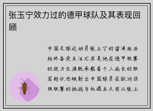 张玉宁效力过的德甲球队及其表现回顾
