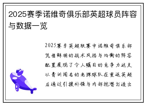 2025赛季诺维奇俱乐部英超球员阵容与数据一览
