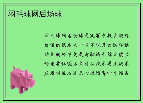 羽毛球网后场球